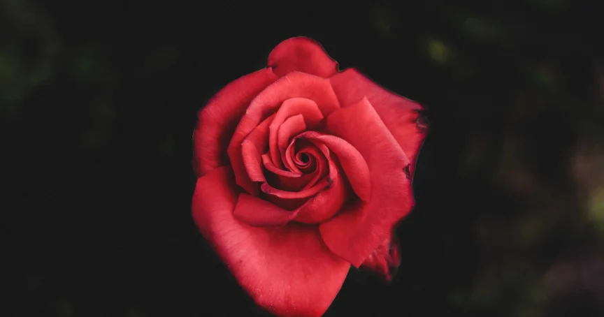 Ever Accountable Customer Stories: Esther - Ever Accountable