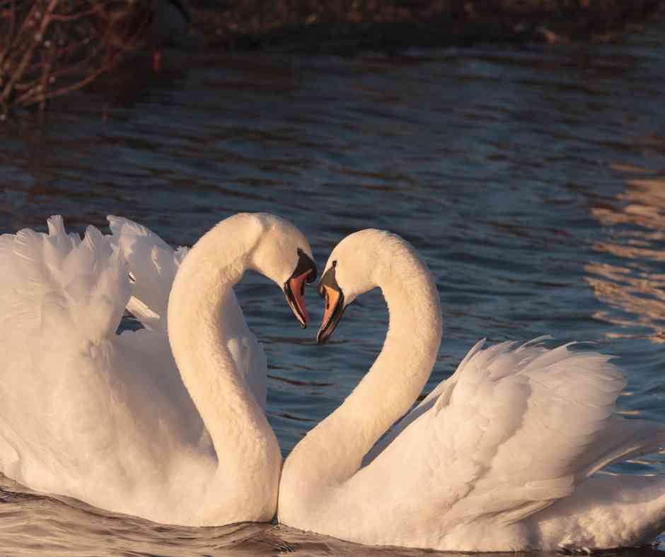 Navigating Pornography As A Couple: A Conversation Guide