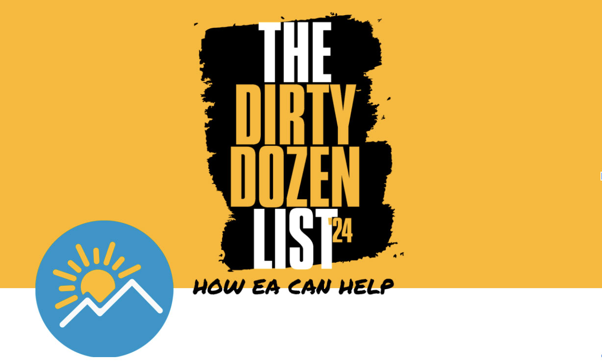 The Dirty Dozen - Ever Accountable